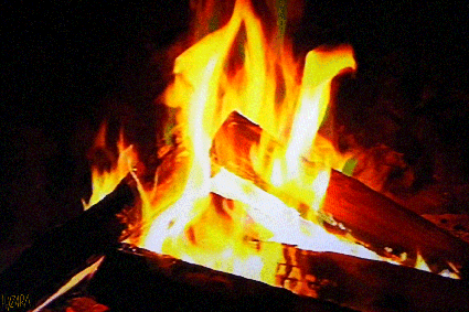 Praktische Übungen mit LICHT und LIEBE,Die 5 Elemente - Das Element Feuer Spüre die Kraft des Feuers. Das Element der Leidenschaft und großer Energie, das uns zu Dynamik und Aktion aufruft und gleichsam mit seiner wohligen Wärme umsorgt.