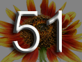51 Sonnenblume führt zur Karte