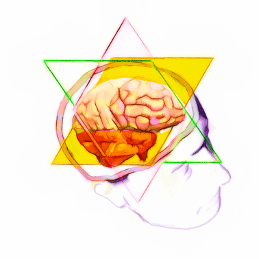 der spirituelle Bezug zum Gehirn 4