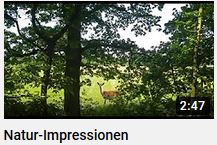 Natur Impressionen als youtube Film von HERZTOR