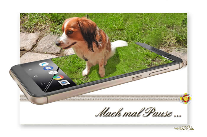 Kooikerhondge auf Handy - mach mal Pause - Postkarte von HERZTOR