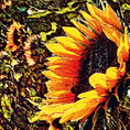 LICHT und LIEBE KUNST Grußkarte HYZARA HERZTOR BEDINGUNGSLOSE LIEBE DER WEG ZUM HERZEN DES LICHTS KUNST Seite zu LICHT und LIEBE von HYZARA Ute Reuß Herzgruß HERZKARTE Sonnenwege mit Zitat von Vincent van Gogh Ute Reuß