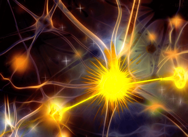 Die SEELENSONNE und die Synapsen des Gehirns